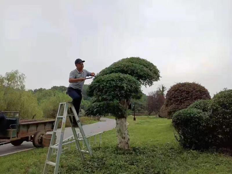 微信图片_20210721180310.jpg 微信图片_20210721180310.jpg