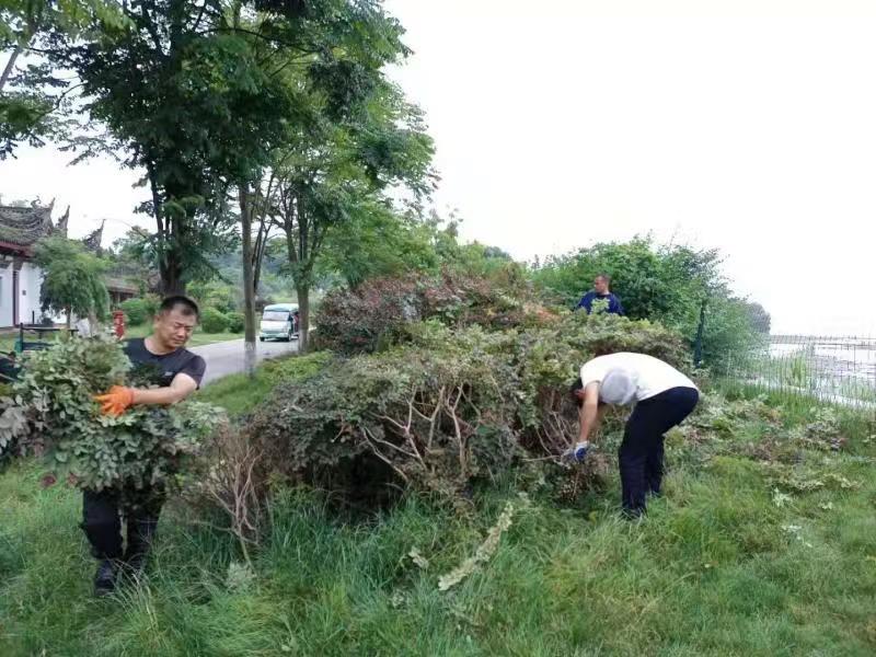 微信图片_20210721180316.jpg 微信图片_20210721180316.jpg